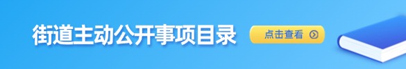 乡镇(街道)主动公开基本目录