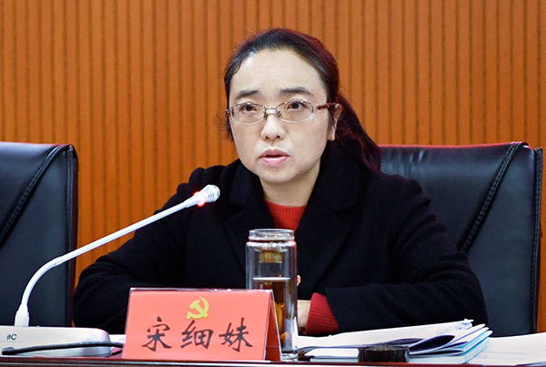 区委书记宋细妹出席会议