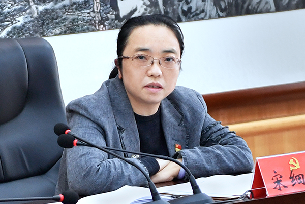 浔阳区召开扩大开放领导小组会议