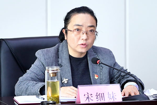 浔阳区政法信访工作会议暨市域社会治理现代化试点工作会议召开